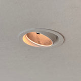 Sora AI Downlight