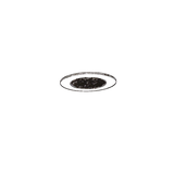 Dot 35