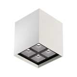 Bitpop C