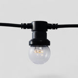 Festoon