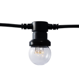 Festoon