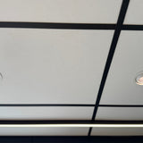 Zeus AI Downlight