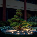 Ice LED